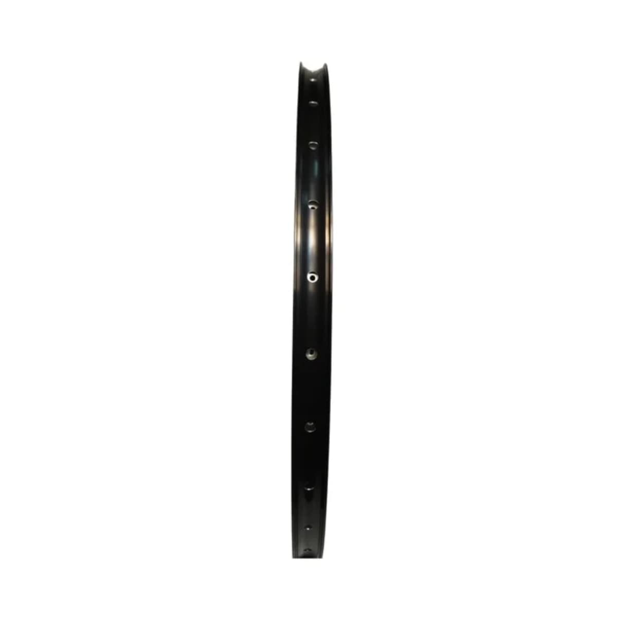 Aro 29 Alumínio Aero Absolute Wild Tubeless Preto Disco 32 F