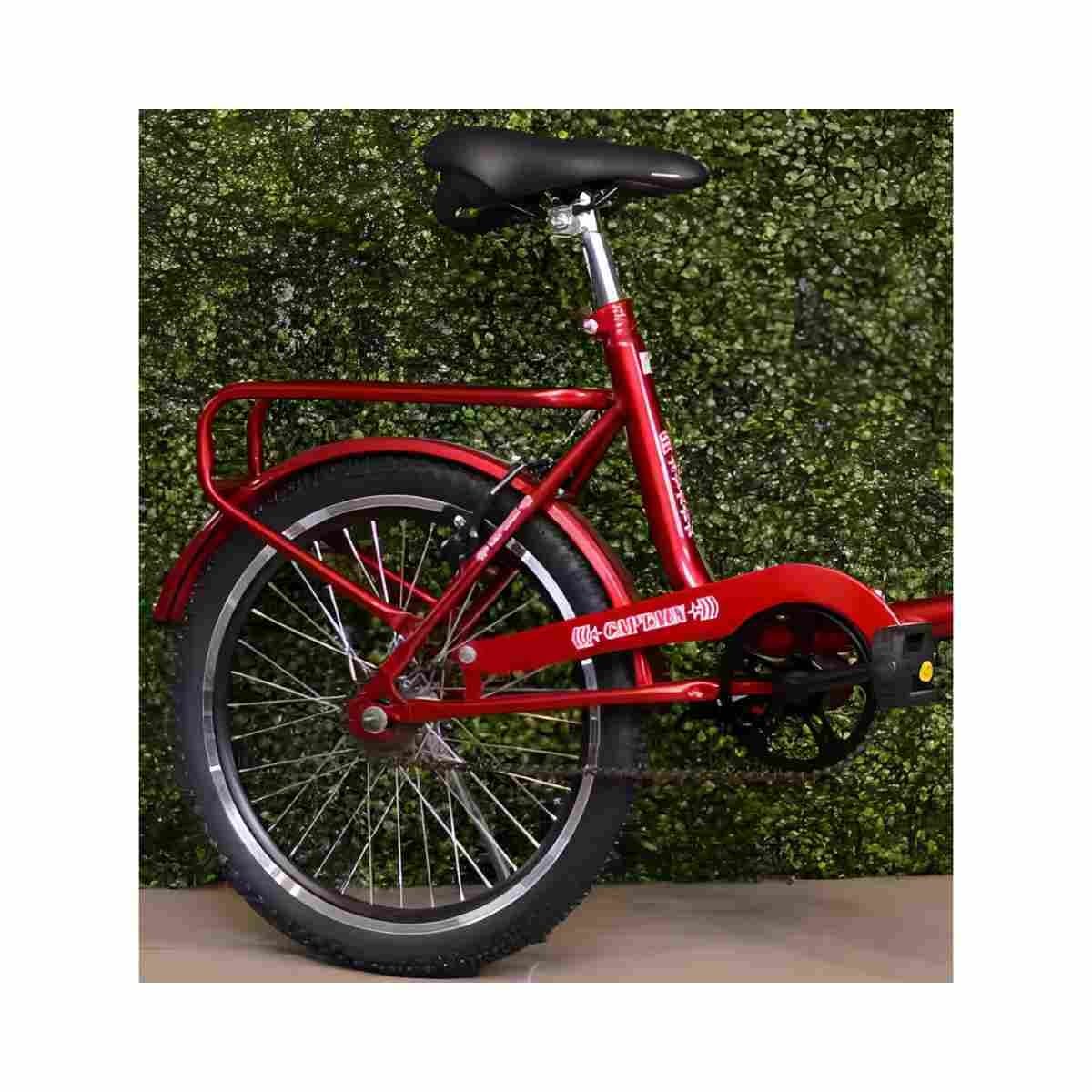 Bicicleta Aro 20 Garra7 Fenix Monareta